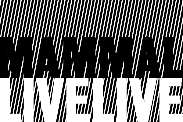 mammal_live_flyer1